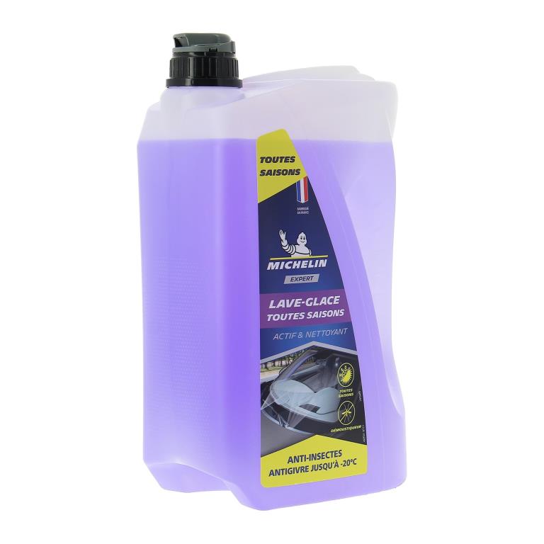 Lave-glace MICHELIN 009 291